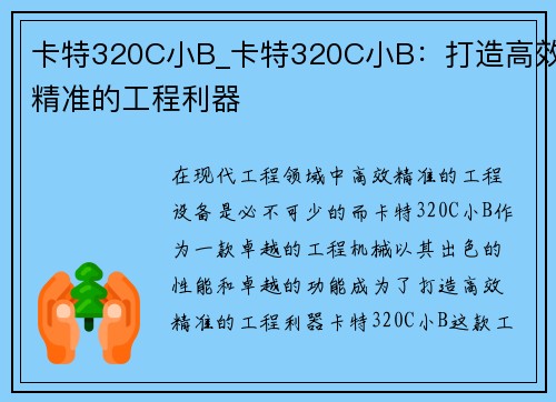 卡特320C小B_卡特320C小B：打造高效精准的工程利器